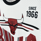 Chicago Bulls Mitchell & Ness HWC Retro Tee for Men | Premium Vintage Style