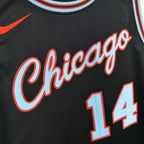 Matas Buzelis No.14 Chicago Bulls City Edition Jersey 2025-26 NBA Authentic Swingman Jersey - View 9