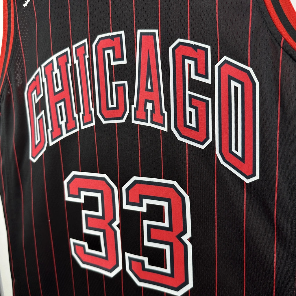 Scottie Pippen No.33 Chicago Bulls Air Jordan Edition Jersey 2025-26 NBA Authentic Swingman Jersey - View 4