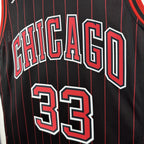 Scottie Pippen No.33 Chicago Bulls Air Jordan Edition Jersey 2025-26 NBA Authentic Swingman Jersey - View 4