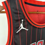 Michael Jordan No.45 Chicago Bulls Air Jordan Edition Jersey 2025-26 NBA Authentic Swingman Jersey - View 8