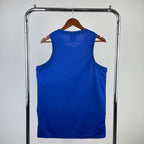 Knicks Back Full View in Blue — Hanging