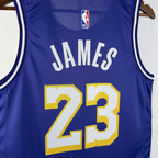 LeBron James No.23 Los Angeles Lakers Air Jordan Edition Jersey 2025-26 NBA Authentic Swingman Jersey - View 4