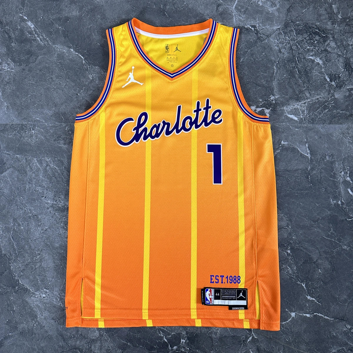 Charlotte Hornets 2025-26 city edition basketball jersey close-up of team logo embroidery in team colors for basketball fans