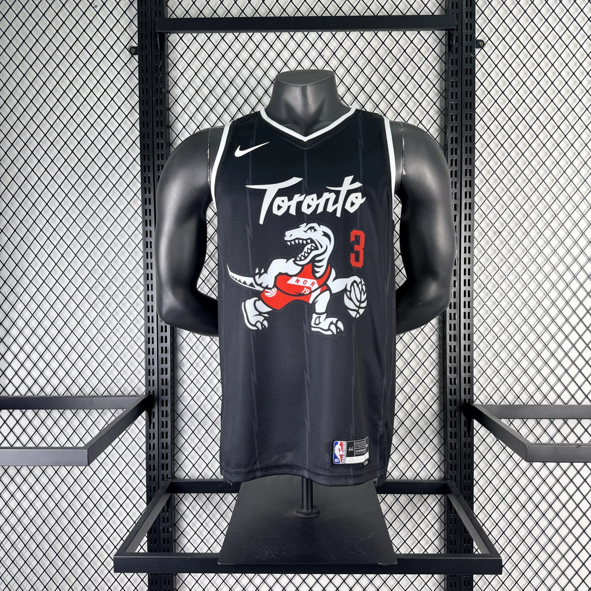 Toronto Raptors 2025-26 city edition basketball jersey close-up of team logo embroidery in team colors for basketball fans