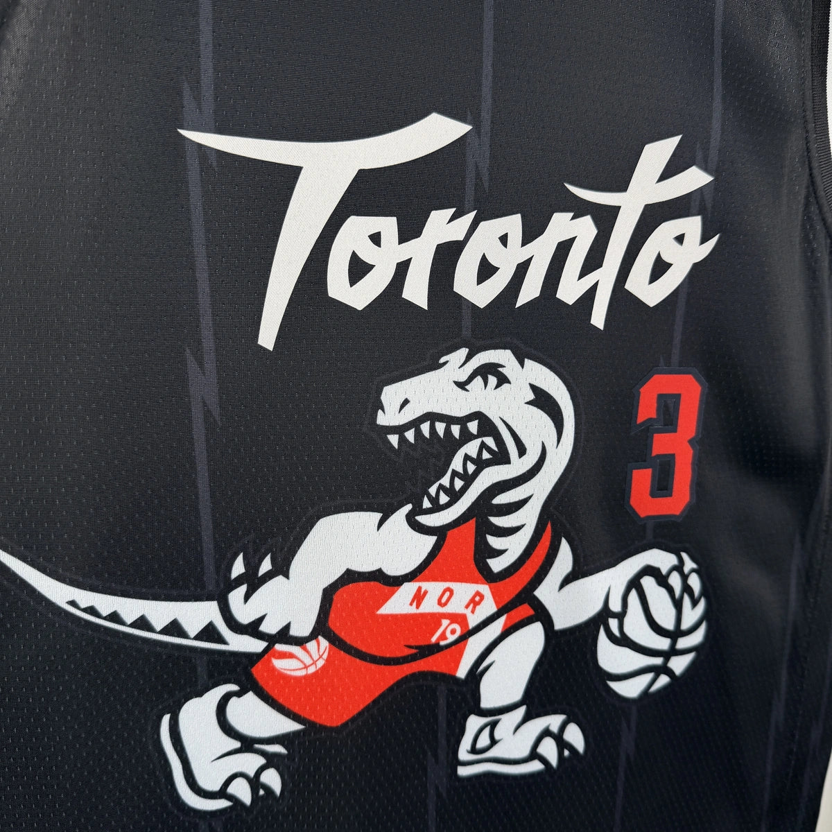 Toronto Raptors 2025-26 city edition basketball jersey close-up of jock tag and hem details in team colors for basketball fans