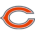 Bears